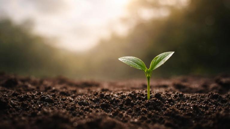 Holding On to Hope When Life Feels Heavy