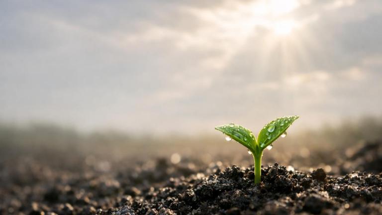 You Are Stronger Than You Think