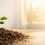 Surah Al Furqan 25:70 teaches that sincere repentance can transform past mistakes into good deeds. A hopeful reflection on change, mercy, and new beginnings.