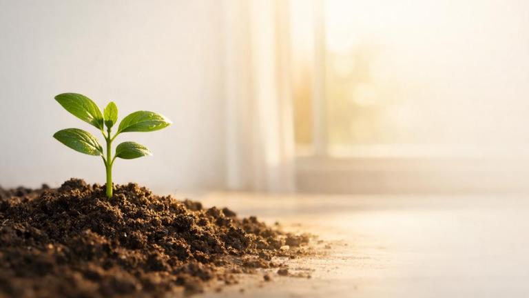 Surah Al Furqan 25:70 teaches that sincere repentance can transform past mistakes into good deeds. A hopeful reflection on change, mercy, and new beginnings.